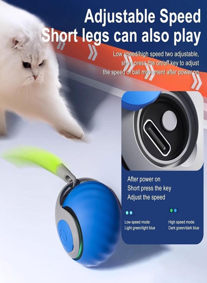 JANCOM Speedy Sprint Ball for Cat Dogs Type-C USB Rechargeable Speedy Tail Cats Toy Smart Interactive Ball for Indoor Cats Smart Interactive Cat Toy with 2 Modes (Small Tail) - Image 2